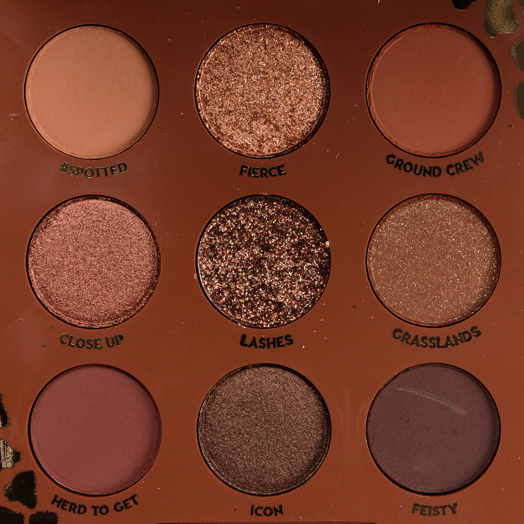 Cọ WNW Large Eyeshadow - Image 197