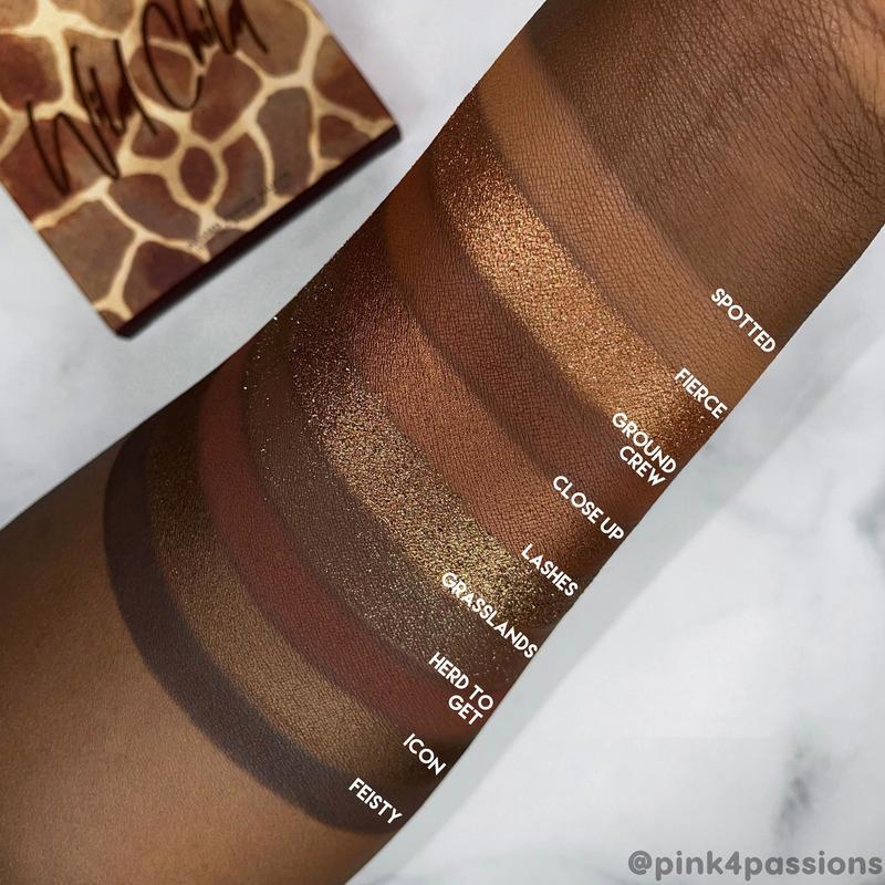Cọ WNW Large Eyeshadow - Image 198